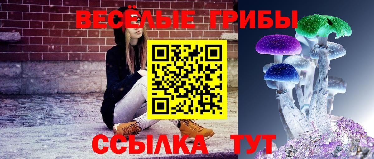 Ливны  Галлюциногенные грибы мухоморы  Вход с VPN 
